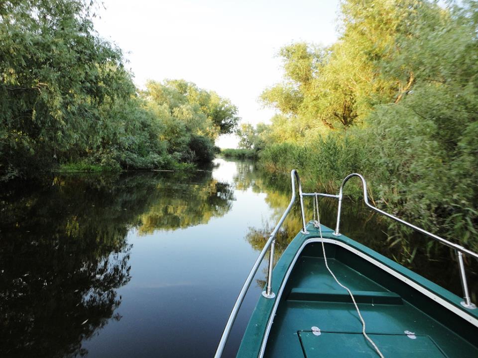 PLIMBARI IN DELTA  - 1000828.jpg